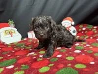 processed/e1eb33b4-003e-4a8e-bf1b-32beb59b2663/listing/7561db28-695a-4163-bef9-59063ccb8070/0f56345e-df53-4f52-9f1c-f764af5116e4