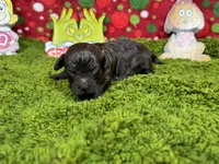 processed/e1eb33b4-003e-4a8e-bf1b-32beb59b2663/listing/7561db28-695a-4163-bef9-59063ccb8070/10e28aa4-b0e8-4424-a778-c53fedc65330