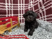 processed/e1eb33b4-003e-4a8e-bf1b-32beb59b2663/listing/7561db28-695a-4163-bef9-59063ccb8070/273db57f-b2b7-40bd-bd54-f068da201291