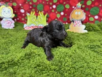 processed/e1eb33b4-003e-4a8e-bf1b-32beb59b2663/listing/7561db28-695a-4163-bef9-59063ccb8070/2a979d1e-b6d1-43d8-9416-ce6820c6682d