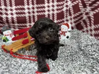 processed/e1eb33b4-003e-4a8e-bf1b-32beb59b2663/listing/7561db28-695a-4163-bef9-59063ccb8070/3fbdfc9f-da87-43e0-a512-6ed6ed1e4ee7