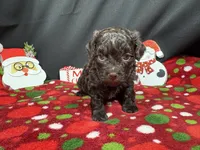 processed/e1eb33b4-003e-4a8e-bf1b-32beb59b2663/listing/7561db28-695a-4163-bef9-59063ccb8070/5e76e067-21f3-4547-a720-285636255d8f