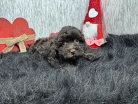 processed/e1eb33b4-003e-4a8e-bf1b-32beb59b2663/listing/7561db28-695a-4163-bef9-59063ccb8070/90949342-e85e-4874-bbe6-d35f8d2d29a4