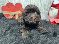 processed/e1eb33b4-003e-4a8e-bf1b-32beb59b2663/listing/7561db28-695a-4163-bef9-59063ccb8070/e3d097a3-611b-4583-b5a1-a8f04040ff2b