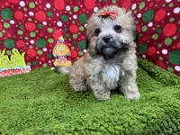 processed/e1eb33b4-003e-4a8e-bf1b-32beb59b2663/listing/a14ec830-be5a-47e5-ad47-236eabd4cc96/22c4f61e-b205-4a91-b2c0-2e8644457d58