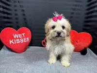 processed/e1eb33b4-003e-4a8e-bf1b-32beb59b2663/listing/a14ec830-be5a-47e5-ad47-236eabd4cc96/385cdbaf-61cf-48ef-8cb7-70a5f9eadec7