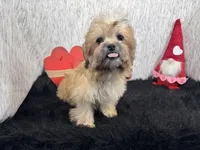 processed/e1eb33b4-003e-4a8e-bf1b-32beb59b2663/listing/a14ec830-be5a-47e5-ad47-236eabd4cc96/4abbcc09-fa8c-47ce-8fd3-2cf4803f90db