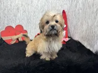 processed/e1eb33b4-003e-4a8e-bf1b-32beb59b2663/listing/a14ec830-be5a-47e5-ad47-236eabd4cc96/5566bd9c-7450-48f0-815b-5b5a35352e75