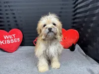 processed/e1eb33b4-003e-4a8e-bf1b-32beb59b2663/listing/a14ec830-be5a-47e5-ad47-236eabd4cc96/7a47da37-dab3-4c1d-a103-584e5edc4339