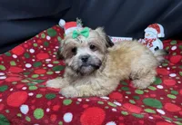 processed/e1eb33b4-003e-4a8e-bf1b-32beb59b2663/listing/a14ec830-be5a-47e5-ad47-236eabd4cc96/7aa744f9-86c7-4770-a10f-b09a2da9fbde