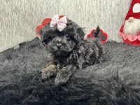 processed/e1eb33b4-003e-4a8e-bf1b-32beb59b2663/listing/a52696a4-8db2-4f00-805f-091d3f524279/2eb21d6e-123d-437d-ba7b-0ac1d918da08