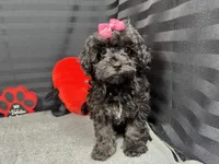 processed/e1eb33b4-003e-4a8e-bf1b-32beb59b2663/listing/a52696a4-8db2-4f00-805f-091d3f524279/6cfce40e-c120-46f9-9796-5983f4532e2d