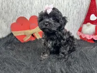 processed/e1eb33b4-003e-4a8e-bf1b-32beb59b2663/listing/a52696a4-8db2-4f00-805f-091d3f524279/7db688a8-490d-48dd-ba1f-d38c4e2f08c6