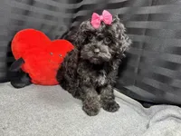 processed/e1eb33b4-003e-4a8e-bf1b-32beb59b2663/listing/a52696a4-8db2-4f00-805f-091d3f524279/a37cc3f2-92cd-4e53-869e-712ba8cda4c1