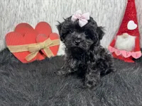 processed/e1eb33b4-003e-4a8e-bf1b-32beb59b2663/listing/a52696a4-8db2-4f00-805f-091d3f524279/fee3bb74-69d0-4adb-bfd8-ecbc183ba5db