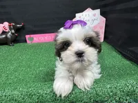 processed/e1eb33b4-003e-4a8e-bf1b-32beb59b2663/listing/a5bb9b1d-863e-40c0-bfd4-b721c4f03eca/115e5773-4451-4586-bd0e-61d7973831a4