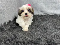 processed/e1eb33b4-003e-4a8e-bf1b-32beb59b2663/listing/a5bb9b1d-863e-40c0-bfd4-b721c4f03eca/4e39540f-9647-4610-9271-30fcefa7acae