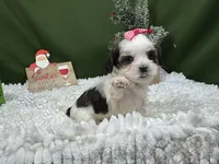 processed/e1eb33b4-003e-4a8e-bf1b-32beb59b2663/listing/a5bb9b1d-863e-40c0-bfd4-b721c4f03eca/619e5696-616e-4773-be45-975f531ace8b