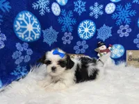 processed/e1eb33b4-003e-4a8e-bf1b-32beb59b2663/listing/a5bb9b1d-863e-40c0-bfd4-b721c4f03eca/8f49dc25-0d7c-4c64-b9d8-3b41e6050e40