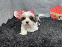 processed/e1eb33b4-003e-4a8e-bf1b-32beb59b2663/listing/a5bb9b1d-863e-40c0-bfd4-b721c4f03eca/b8886b82-0393-4efa-956f-67fdef06e5f9