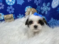 processed/e1eb33b4-003e-4a8e-bf1b-32beb59b2663/listing/a5bb9b1d-863e-40c0-bfd4-b721c4f03eca/bf618304-02dd-4c57-a851-93572c0e62dc