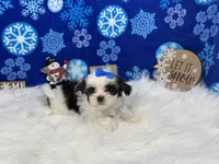 processed/e1eb33b4-003e-4a8e-bf1b-32beb59b2663/listing/a5bb9b1d-863e-40c0-bfd4-b721c4f03eca/c2ee1173-7c86-47ce-8265-4f648d4a7424