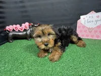 processed/e1eb33b4-003e-4a8e-bf1b-32beb59b2663/listing/a8b97013-0525-4c88-9a77-3b0dd04e90ea/019acd4b-3c6c-48df-a573-b397cea4fb30