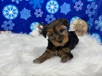 processed/e1eb33b4-003e-4a8e-bf1b-32beb59b2663/listing/a8b97013-0525-4c88-9a77-3b0dd04e90ea/0344d6ee-918a-45b1-904c-771824d894e0