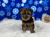 processed/e1eb33b4-003e-4a8e-bf1b-32beb59b2663/listing/a8b97013-0525-4c88-9a77-3b0dd04e90ea/51dafaac-0151-47ce-b1e4-b95e2d5f2b68