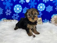 processed/e1eb33b4-003e-4a8e-bf1b-32beb59b2663/listing/a8b97013-0525-4c88-9a77-3b0dd04e90ea/5d856f1a-62fb-4d07-af43-def1af9dfac7