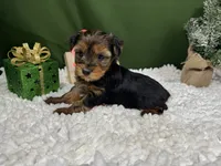 processed/e1eb33b4-003e-4a8e-bf1b-32beb59b2663/listing/a8b97013-0525-4c88-9a77-3b0dd04e90ea/7f0c03dd-beab-48a5-953c-df1bf3006025