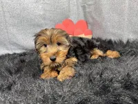 processed/e1eb33b4-003e-4a8e-bf1b-32beb59b2663/listing/a8b97013-0525-4c88-9a77-3b0dd04e90ea/cb82e89c-14a3-4621-9766-4d039efbd69e