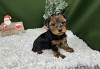 processed/e1eb33b4-003e-4a8e-bf1b-32beb59b2663/listing/a8b97013-0525-4c88-9a77-3b0dd04e90ea/e1ef7e26-fa08-401d-a357-1bc904a03c57