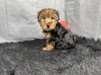 processed/e1eb33b4-003e-4a8e-bf1b-32beb59b2663/listing/a8b97013-0525-4c88-9a77-3b0dd04e90ea/ec4db80f-1902-4b09-9529-28fea29b889a