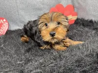 processed/e1eb33b4-003e-4a8e-bf1b-32beb59b2663/listing/a8b97013-0525-4c88-9a77-3b0dd04e90ea/f7bd68f3-8adc-4711-9c22-ad2378965957