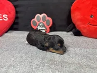 processed/e1eb33b4-003e-4a8e-bf1b-32beb59b2663/listing/b516b6bd-17d1-4a73-a957-301526a441b2/0c37ecc7-ac87-4497-8f07-e1feac70b04c