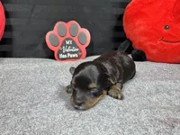 processed/e1eb33b4-003e-4a8e-bf1b-32beb59b2663/listing/b516b6bd-17d1-4a73-a957-301526a441b2/f20fa714-bec2-4956-a321-deffe071f4ea