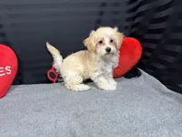 processed/e1eb33b4-003e-4a8e-bf1b-32beb59b2663/listing/b8631a3d-d7ad-410c-848d-f51357a53545/34b4c27e-de2a-43f8-b578-6c5e4f008a87