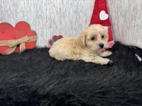 processed/e1eb33b4-003e-4a8e-bf1b-32beb59b2663/listing/b8631a3d-d7ad-410c-848d-f51357a53545/36b2b072-0ce6-415a-9d16-fd98ab193858