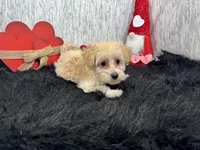 processed/e1eb33b4-003e-4a8e-bf1b-32beb59b2663/listing/b8631a3d-d7ad-410c-848d-f51357a53545/6bec5621-b191-4f4d-b5f3-7b1506058f77