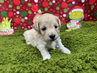 processed/e1eb33b4-003e-4a8e-bf1b-32beb59b2663/listing/b8631a3d-d7ad-410c-848d-f51357a53545/79ab1bf1-999e-4fb4-9a3b-f705f3ed5148