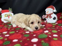 processed/e1eb33b4-003e-4a8e-bf1b-32beb59b2663/listing/b8631a3d-d7ad-410c-848d-f51357a53545/969b2e94-b373-4170-a3f3-f7eb6ebbc124