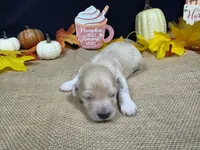 processed/e1eb33b4-003e-4a8e-bf1b-32beb59b2663/listing/b8631a3d-d7ad-410c-848d-f51357a53545/97b3a399-b73b-41a4-9067-fb7a2d531081