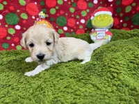 processed/e1eb33b4-003e-4a8e-bf1b-32beb59b2663/listing/b8631a3d-d7ad-410c-848d-f51357a53545/987a5407-feb2-4bc8-a506-ca165592f30a