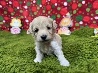 processed/e1eb33b4-003e-4a8e-bf1b-32beb59b2663/listing/b8631a3d-d7ad-410c-848d-f51357a53545/ad2162de-0288-47ee-a9f6-e7a7223083d6