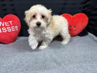 processed/e1eb33b4-003e-4a8e-bf1b-32beb59b2663/listing/b8631a3d-d7ad-410c-848d-f51357a53545/b030418e-efba-47c9-9f08-5689a190b7aa