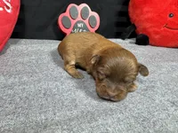 processed/e1eb33b4-003e-4a8e-bf1b-32beb59b2663/listing/bd7b27e9-4bde-4b2e-a369-fa75b1e81852/4ecca96a-c7a4-4018-a5ad-e2ec7e61524b