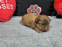 processed/e1eb33b4-003e-4a8e-bf1b-32beb59b2663/listing/bd7b27e9-4bde-4b2e-a369-fa75b1e81852/abf2359f-f78e-43c0-9fda-59b8e9a70561