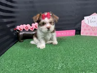 processed/e1eb33b4-003e-4a8e-bf1b-32beb59b2663/listing/c684db77-78fb-40e2-bfa2-43ff7e8e1d82/498e4006-3b0e-448f-a170-668617e006aa