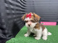 processed/e1eb33b4-003e-4a8e-bf1b-32beb59b2663/listing/c684db77-78fb-40e2-bfa2-43ff7e8e1d82/61f9365c-ed8e-4fc5-9539-8920219d3d97